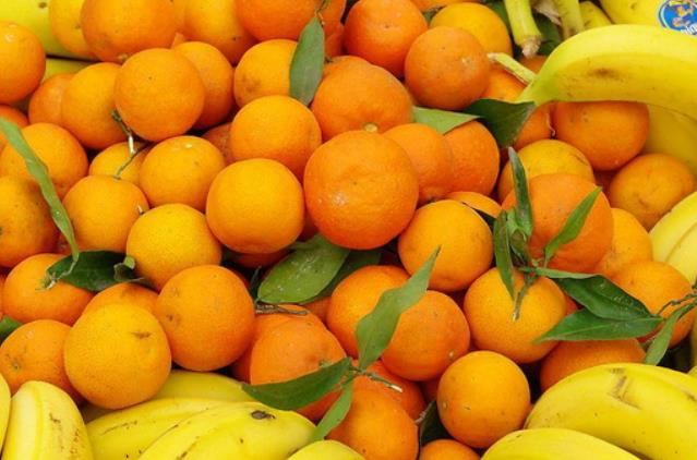 百果鲜果业加盟 百果鲜果业加盟