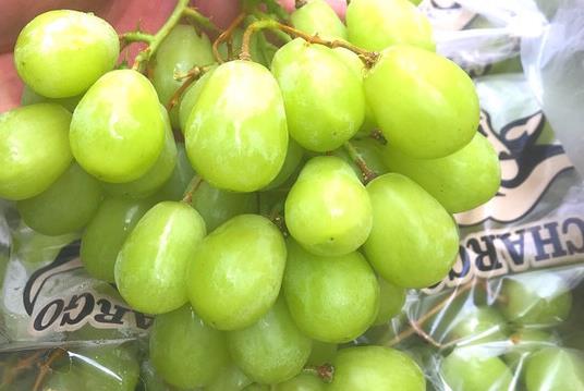 伊甸園水果店