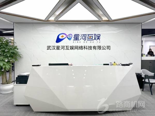 武汉星河互娱网络科技有限公司