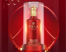 五糧液財富人生白酒