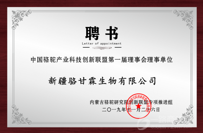 新疆骆甘霖臻品全脂驼乳粉