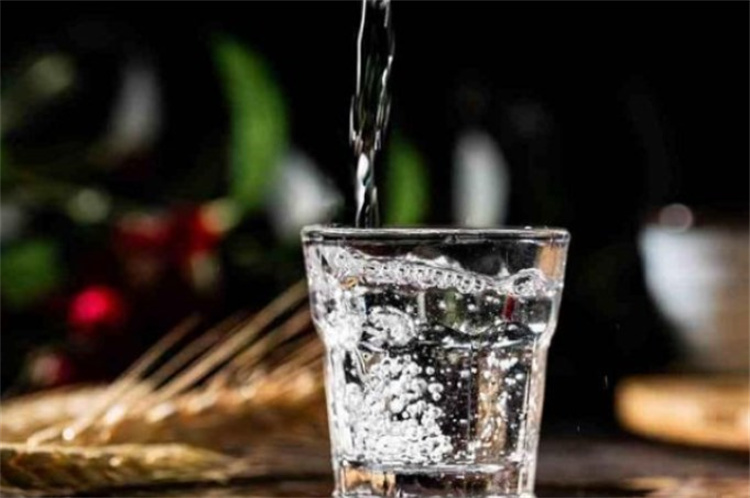 毛鋪苦蕎酒加盟