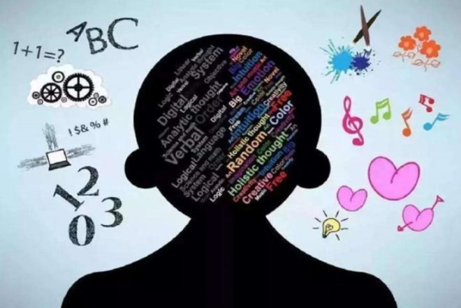 全脑教育 全脑教育