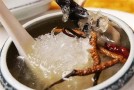 虫草炖燕窝