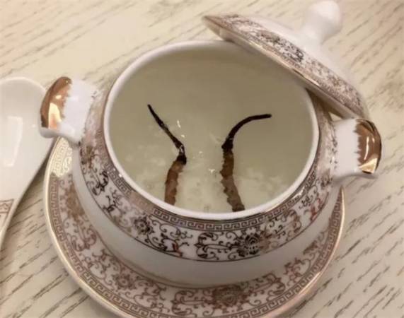 虫草燕窝