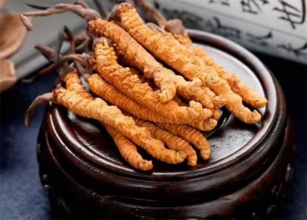 冬虫夏草实体店