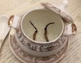 虫草燕窝