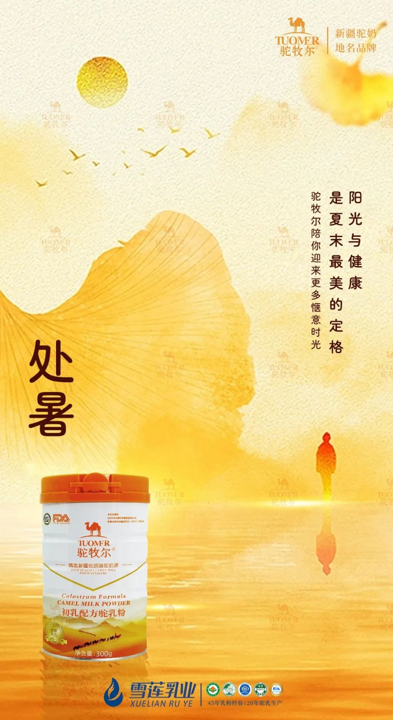 驼牧尔新疆骆驼奶粉加盟 驼牧尔新疆骆驼奶粉加盟