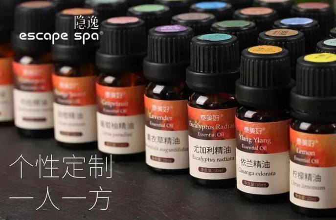 隐逸SPA