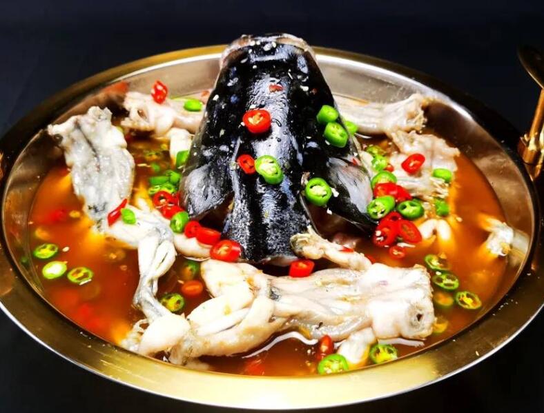 四川美蛙魚頭