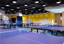暑期乒乓球培训班