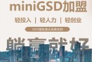 GSD肌肤美容