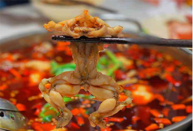 蛙蛙雞冷鍋魚加盟