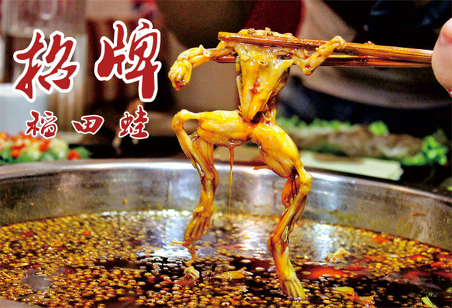 川喜魚稻田蛙加盟