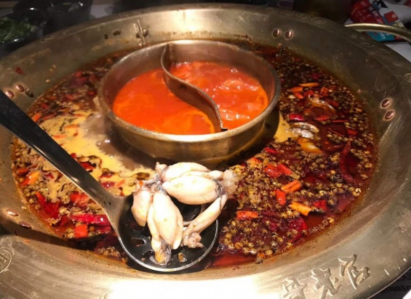 哥老官美蛙魚頭火鍋加盟 哥老官美蛙魚頭火鍋加盟