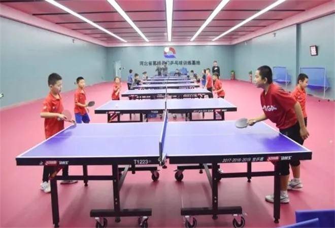 青少年乒乓球训练基地