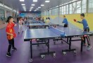 青少年乒乓球训练基地
