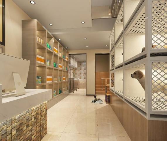 宠物店