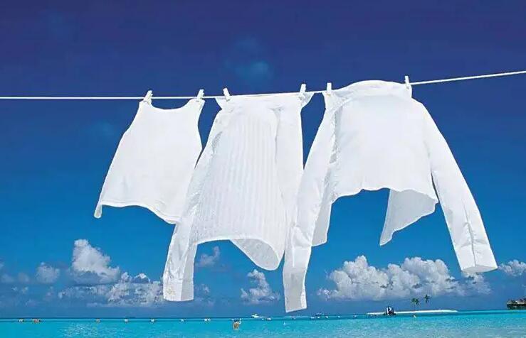 艾尚尼国际洗衣加盟