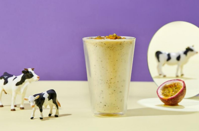 鲜奶店加盟 鲜奶店加盟