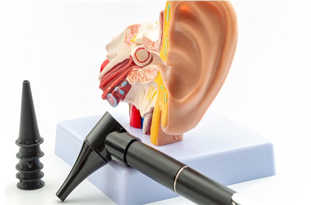 自然之聲助聽(tīng)器