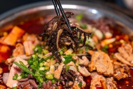 鋼一區伍妹烤鴨