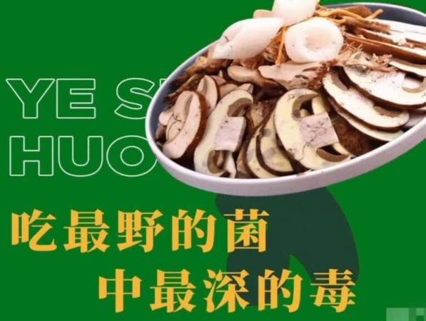 菌故野生菌火锅