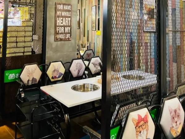 菌故野生菌火锅