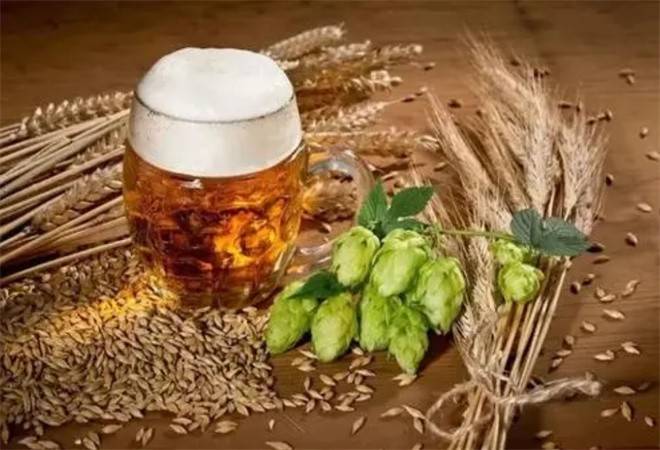 麦芽花精酿啤酒