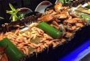 横贯线海鲜烤肉自助餐厅