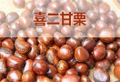 喜二甘栗