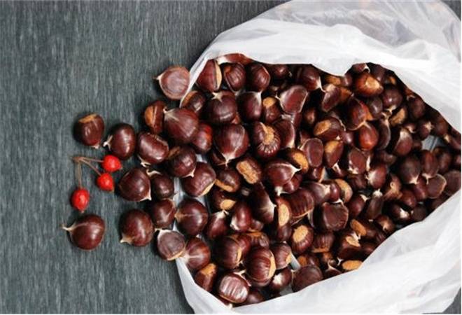 康源板栗
