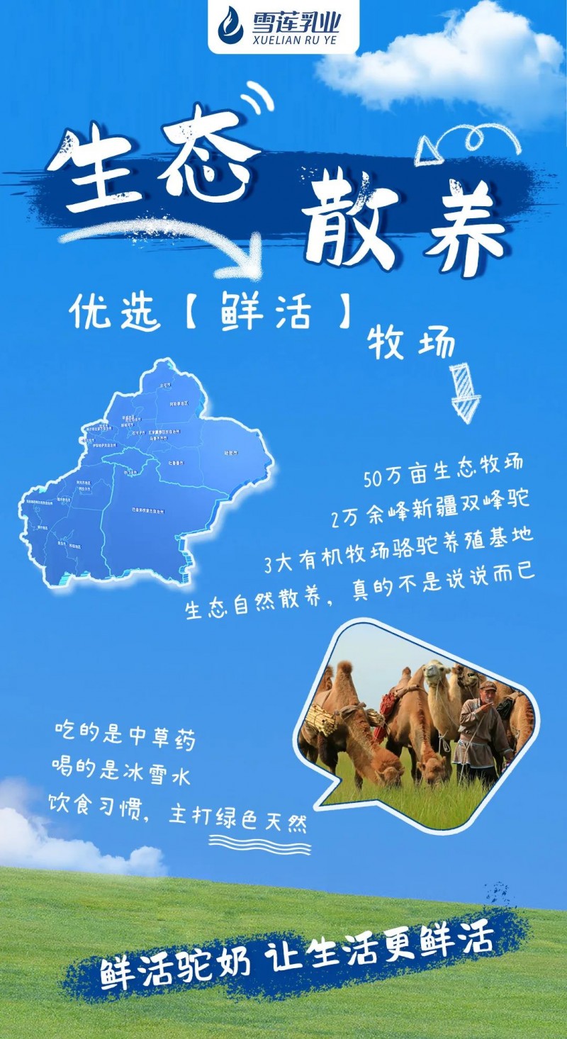 驼牧尔新疆骆驼奶粉