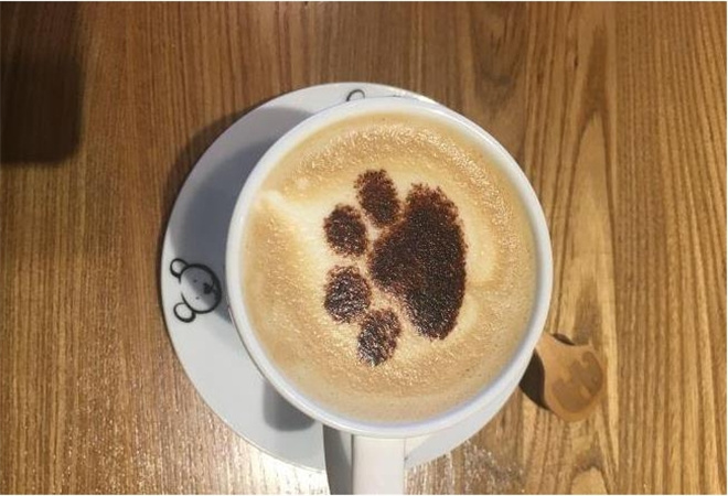 熊爪咖啡加盟