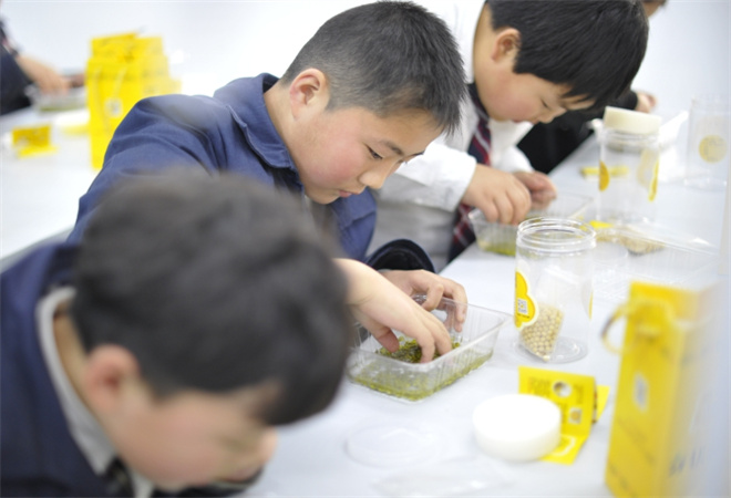 科学实验课加盟 科学实验课加盟