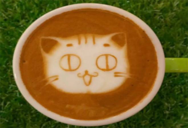 茶猫奶茶