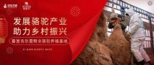 深化牧企联合伊犁雪莲乳业再签古尔图牧业特色骆驼养殖基地