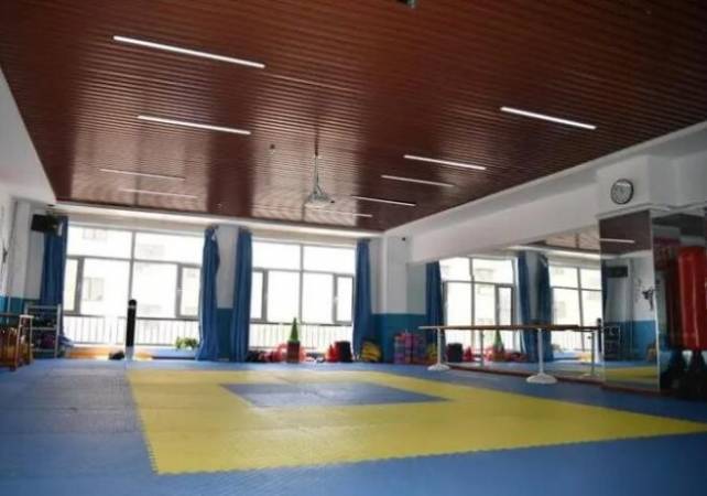 九段国际跆拳道