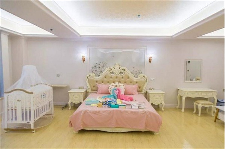 丽复产后恢复加盟