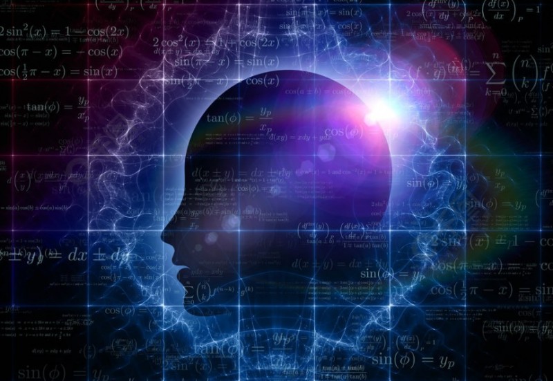 蛋殼樹(shù)科學(xué)教育