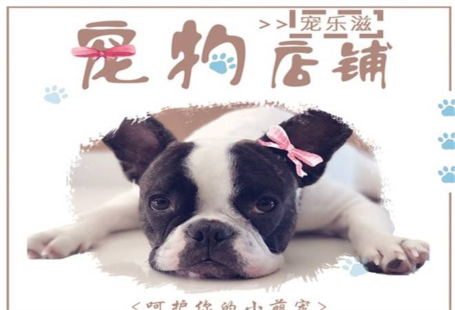 宠乐滋宠物店