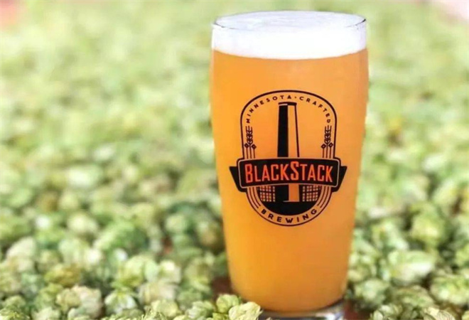 麦库精酿啤酒加盟