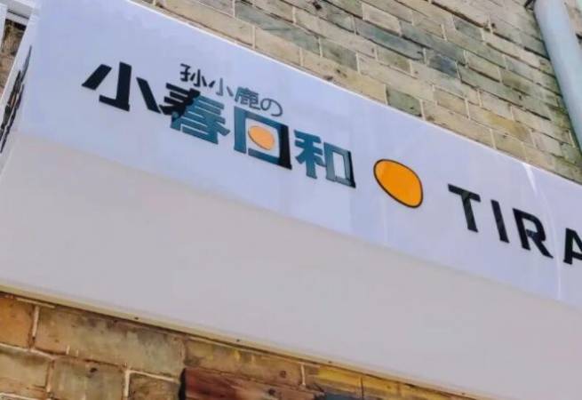 孙小鹿的小春日和