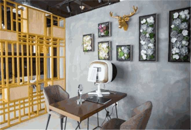 花鹿轻奢皮肤管理