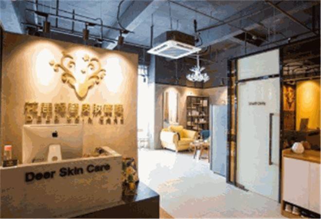 花鹿轻奢皮肤管理