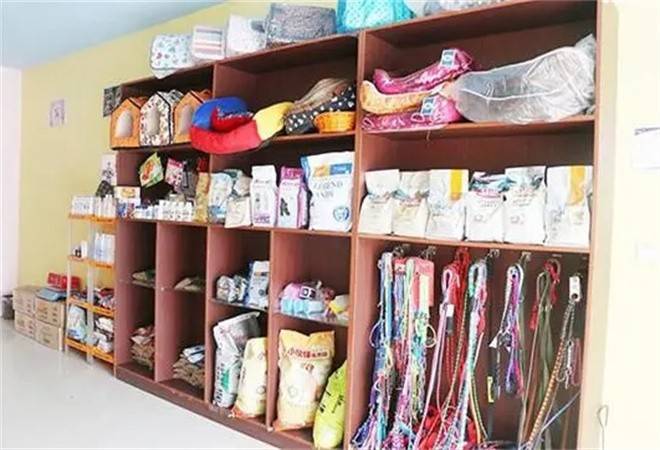 小宠当家宠物店