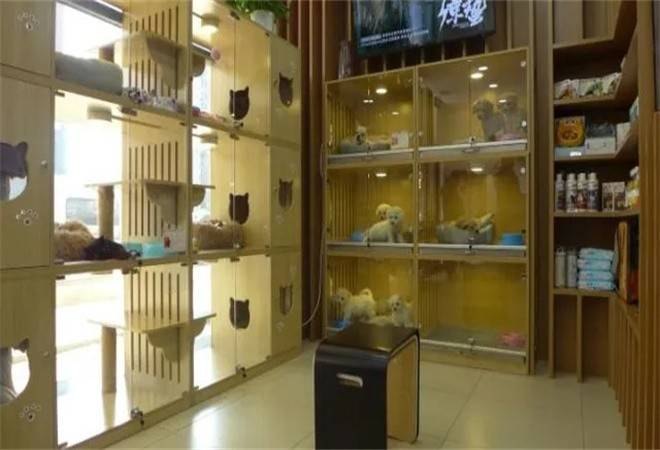 狗狗屋宠物生活馆