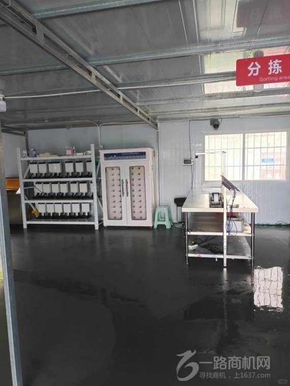 BOT学校洗衣洗鞋加盟