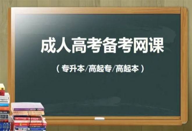 成人教育网课