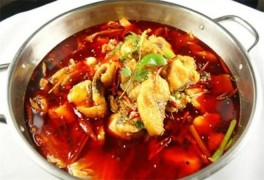 大唐炝锅鱼火锅